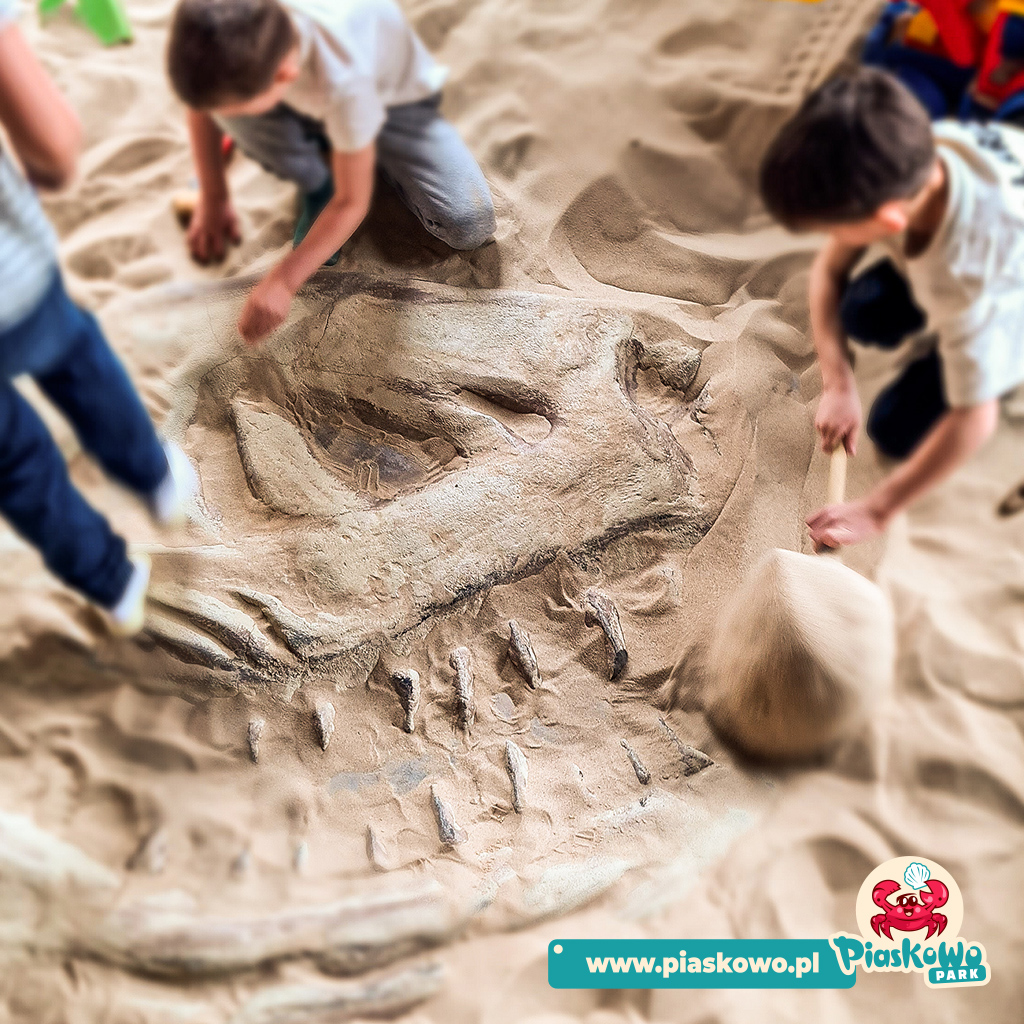 piaskowo rzeszow _ wykopaliska dinozaurow 01